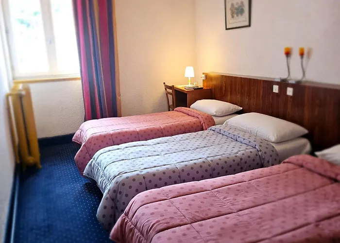 Hotel Du Commerce Et De Navarre 2*