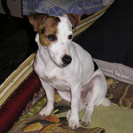 Du Commerce Et De Navarre Lourdes