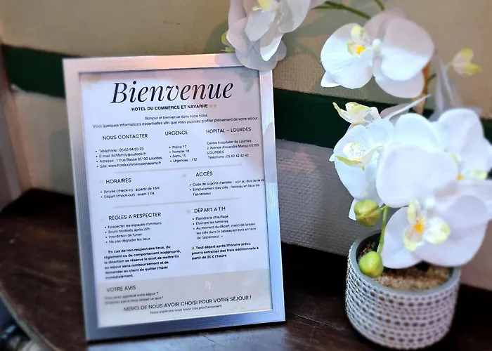 Du Commerce Et De Navarre ルルド